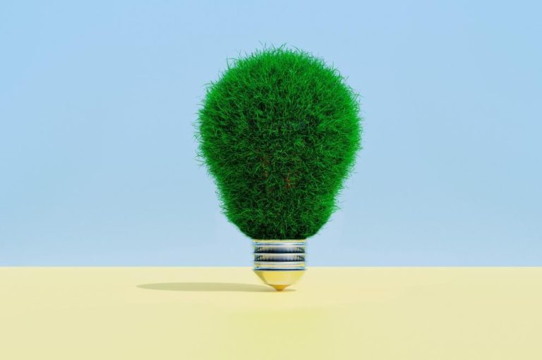 Komisija predstavlja novu strategiju za biogospodarstvo radi poticanja zelenog rasta, konkurentnosti i otpornosti u cijeloj Europi